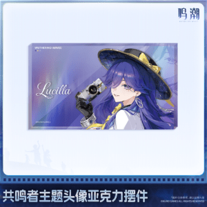 [WUTHERING WAVES] Resonator Theme Acrylic Block Vol.14